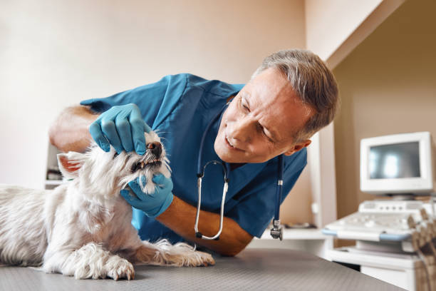 Best Walk-In Emergency Dentist in Rome, GA